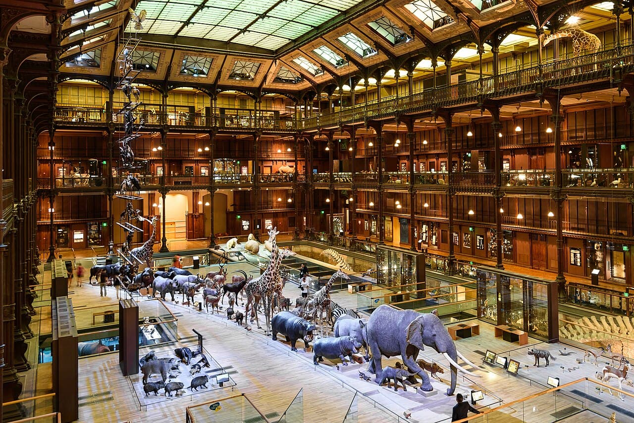 imagem do Grande Galérie de l'èvolution - slide 1