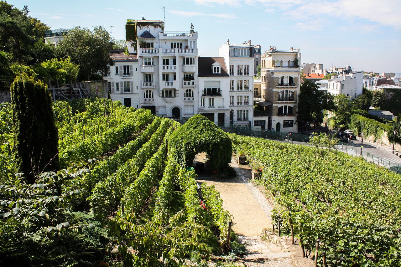 imagem do La Vigne de Montmartre - slide 1